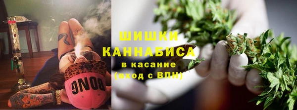 амф Белоозёрский