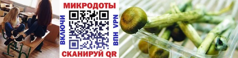 Галлюциногенные грибы MAGIC MUSHROOMS Саяногорск